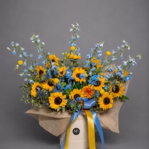 THE SUNLIT BLUE - Image 1