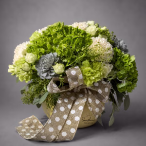 THE VERDANT NO. 01 - Image 1