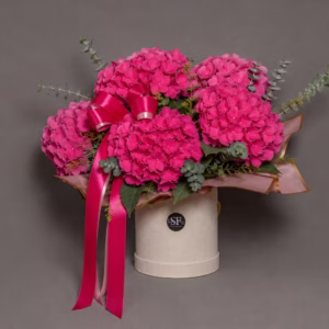 THE FUCHSIA NO. 01 - Image 1