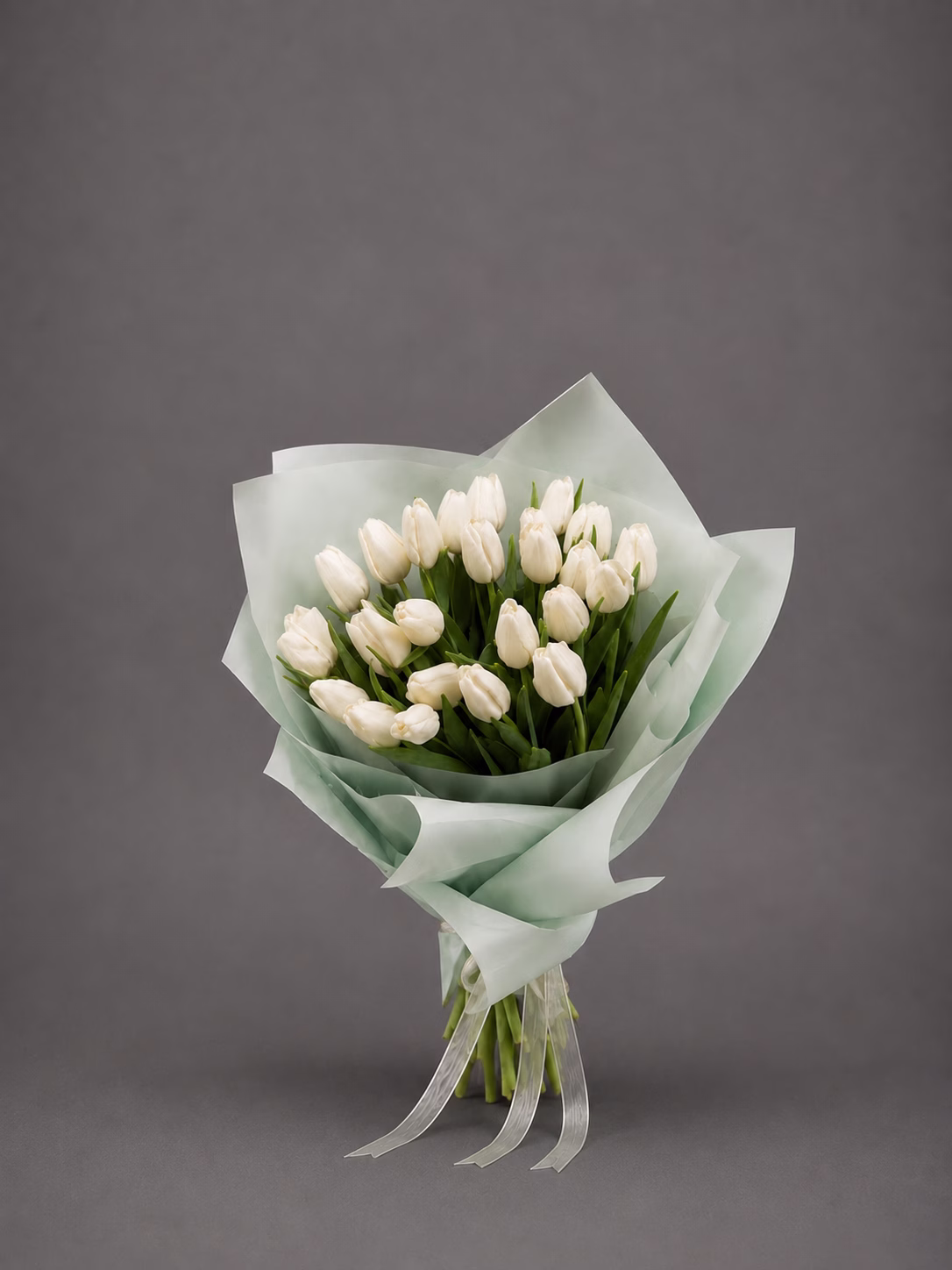 THE TULIP NO. 01 - Image 1